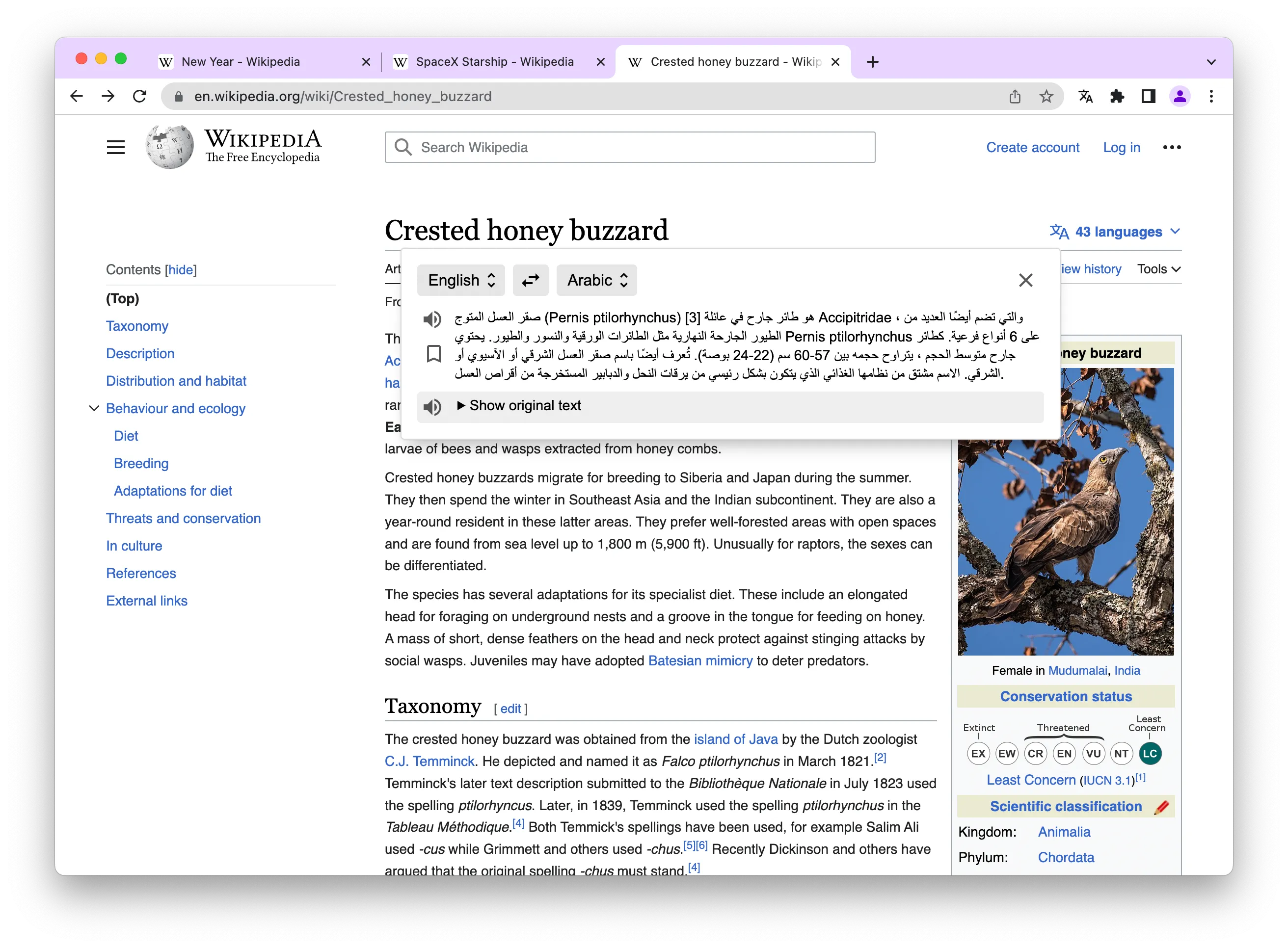 translationOfSelectedText.png